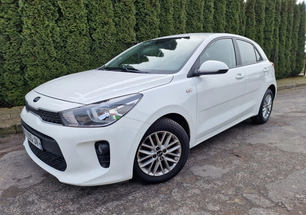 Kia Rio cena 25900 przebieg: 83635, rok produkcji 2018 z Knurów małe 781